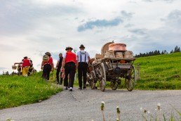 Alpaufzug, Alpfahrt, Appenzell, Appenzell Ausserrohden, Appenzellerland, Brauchtum und Anlässe, Kühe, Landschaft und Natur, Orte, Ostschweiz, Schweiz, Sennen, Suisse, Switzerland, Tier, Tracht, tradition