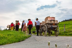 Alpaufzug, Alpfahrt, Appenzell, Appenzell Ausserrohden, Appenzellerland, Brauchtum und Anlässe, Kühe, Landschaft und Natur, Orte, Ostschweiz, Schweiz, Sennen, Suisse, Switzerland, Tier, Tracht, tradition