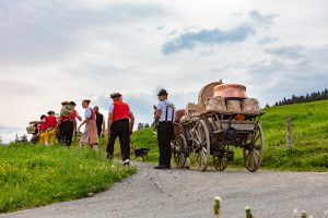 Alpaufzug, Alpfahrt, Appenzell, Appenzell Ausserrohden, Appenzellerland, Brauchtum und Anlässe, Kühe, Landschaft und Natur, Orte, Ostschweiz, Schweiz, Sennen, Suisse, Switzerland, Tier, Tracht, tradition