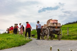 Alpaufzug, Alpfahrt, Appenzell, Appenzell Ausserrohden, Appenzellerland, Brauchtum und Anlässe, Kühe, Landschaft und Natur, Orte, Ostschweiz, Schweiz, Sennen, Suisse, Switzerland, Tier, Tracht, tradition