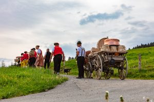 Alpaufzug, Alpfahrt, Appenzell, Appenzell Ausserrohden, Appenzellerland, Brauchtum und Anlässe, Kühe, Landschaft und Natur, Orte, Ostschweiz, Schweiz, Sennen, Suisse, Switzerland, Tier, Tracht, tradition