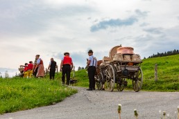 Alpaufzug, Alpfahrt, Appenzell, Appenzell Ausserrohden, Appenzellerland, Brauchtum und Anlässe, Kühe, Landschaft und Natur, Orte, Ostschweiz, Schweiz, Sennen, Suisse, Switzerland, Tier, Tracht, tradition