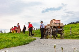 Alpaufzug, Alpfahrt, Appenzell, Appenzell Ausserrohden, Appenzellerland, Brauchtum und Anlässe, Kühe, Landschaft und Natur, Orte, Ostschweiz, Schweiz, Sennen, Suisse, Switzerland, Tier, Tracht, tradition
