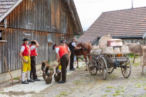 Alpaufzug, Alpfahrt, Appenzell, Appenzell Ausserrohden, Appenzellerland, Brauchtum und Anlässe, Kühe, Landschaft und Natur, Orte, Ostschweiz, Schweiz, Sennen, Suisse, Switzerland, Tier, Tracht, tradition