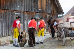 Alpaufzug, Alpfahrt, Appenzell, Appenzell Ausserrohden, Appenzellerland, Brauchtum und Anlässe, Kühe, Landschaft und Natur, Orte, Ostschweiz, Schweiz, Sennen, Suisse, Switzerland, Tier, Tracht, tradition