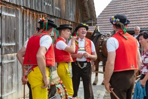 Alpaufzug, Alpfahrt, Appenzell, Appenzell Ausserrohden, Appenzellerland, Brauchtum und Anlässe, Kühe, Landschaft und Natur, Orte, Ostschweiz, Schweiz, Sennen, Suisse, Switzerland, Tier, Tracht, tradition