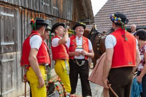 Alpaufzug, Alpfahrt, Appenzell, Appenzell Ausserrohden, Appenzellerland, Brauchtum und Anlässe, Kühe, Landschaft und Natur, Orte, Ostschweiz, Schweiz, Sennen, Suisse, Switzerland, Tier, Tracht, tradition