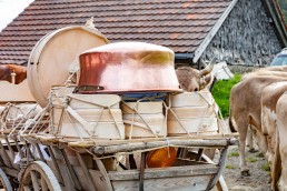 Alpaufzug, Alpfahrt, Appenzell, Appenzell Ausserrohden, Appenzellerland, Brauchtum und Anlässe, Kühe, Landschaft und Natur, Orte, Ostschweiz, Schweiz, Sennen, Suisse, Switzerland, Tier, Tracht, tradition