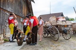 Alpaufzug, Alpfahrt, Appenzell, Appenzell Ausserrohden, Appenzellerland, Brauchtum und Anlässe, Kühe, Landschaft und Natur, Orte, Ostschweiz, Schweiz, Sennen, Suisse, Switzerland, Tier, Tracht, tradition