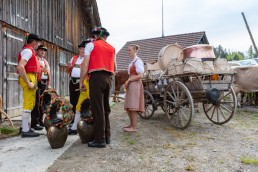 Alpaufzug, Alpfahrt, Appenzell, Appenzell Ausserrohden, Appenzellerland, Brauchtum und Anlässe, Kühe, Landschaft und Natur, Orte, Ostschweiz, Schweiz, Sennen, Suisse, Switzerland, Tier, Tracht, tradition