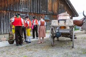 Alpaufzug, Alpfahrt, Appenzell, Appenzell Ausserrohden, Appenzellerland, Brauchtum und Anlässe, Kühe, Landschaft und Natur, Orte, Ostschweiz, Schweiz, Sennen, Suisse, Switzerland, Tier, Tracht, tradition