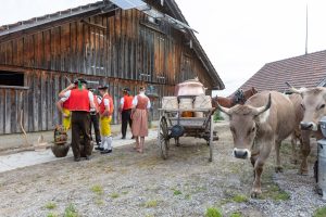 Alpaufzug, Alpfahrt, Appenzell, Appenzell Ausserrohden, Appenzellerland, Brauchtum und Anlässe, Kühe, Landschaft und Natur, Orte, Ostschweiz, Schweiz, Sennen, Suisse, Switzerland, Tier, Tracht, tradition