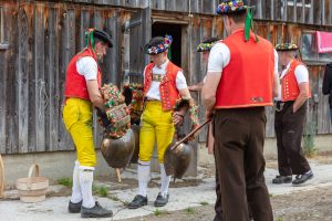 Alpaufzug, Alpfahrt, Appenzell, Appenzell Ausserrohden, Appenzellerland, Brauchtum und Anlässe, Kühe, Landschaft und Natur, Orte, Ostschweiz, Schweiz, Sennen, Suisse, Switzerland, Tier, Tracht, tradition