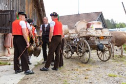 Alpaufzug, Alpfahrt, Appenzell, Appenzell Ausserrohden, Appenzellerland, Brauchtum und Anlässe, Kühe, Landschaft und Natur, Orte, Ostschweiz, Schweiz, Sennen, Suisse, Switzerland, Tier, Tracht, tradition