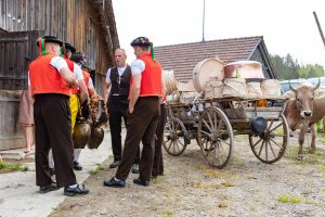 Alpaufzug, Alpfahrt, Appenzell, Appenzell Ausserrohden, Appenzellerland, Brauchtum und Anlässe, Kühe, Landschaft und Natur, Orte, Ostschweiz, Schweiz, Sennen, Suisse, Switzerland, Tier, Tracht, tradition