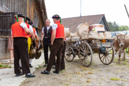 Alpaufzug, Alpfahrt, Appenzell, Appenzell Ausserrohden, Appenzellerland, Brauchtum und Anlässe, Kühe, Landschaft und Natur, Orte, Ostschweiz, Schweiz, Sennen, Suisse, Switzerland, Tier, Tracht, tradition