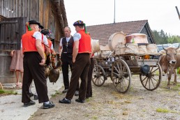 Alpaufzug, Alpfahrt, Appenzell, Appenzell Ausserrohden, Appenzellerland, Brauchtum und Anlässe, Kühe, Landschaft und Natur, Orte, Ostschweiz, Schweiz, Sennen, Suisse, Switzerland, Tier, Tracht, tradition