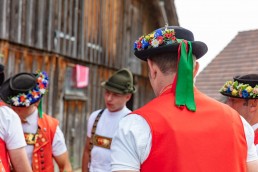 Alpaufzug, Alpfahrt, Appenzell, Appenzell Ausserrohden, Appenzellerland, Brauchtum und Anlässe, Kühe, Landschaft und Natur, Orte, Ostschweiz, Schweiz, Sennen, Suisse, Switzerland, Tier, Tracht, tradition