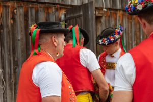 Alpaufzug, Alpfahrt, Appenzell, Appenzell Ausserrohden, Appenzellerland, Brauchtum und Anlässe, Kühe, Landschaft und Natur, Orte, Ostschweiz, Schweiz, Sennen, Suisse, Switzerland, Tier, Tracht, tradition