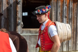 Alpaufzug, Alpfahrt, Appenzell, Appenzell Ausserrohden, Appenzellerland, Brauchtum und Anlässe, Kühe, Landschaft und Natur, Orte, Ostschweiz, Schweiz, Sennen, Suisse, Switzerland, Tier, Tracht, tradition