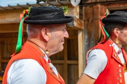 Alpaufzug, Alpfahrt, Appenzell, Appenzell Ausserrohden, Appenzellerland, Brauchtum und Anlässe, Kühe, Landschaft und Natur, Orte, Ostschweiz, Schweiz, Sennen, Suisse, Switzerland, Tier, Tracht, tradition