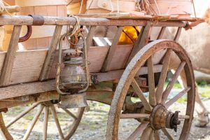Alpaufzug, Alpfahrt, Appenzell, Appenzell Ausserrohden, Appenzellerland, Brauchtum und Anlässe, Kühe, Landschaft und Natur, Orte, Ostschweiz, Schweiz, Sennen, Suisse, Switzerland, Tier, Tracht, tradition
