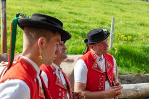 Alpaufzug, Alpfahrt, Appenzell, Appenzell Ausserrohden, Appenzellerland, Brauchtum und Anlässe, Kühe, Landschaft und Natur, Orte, Ostschweiz, Schweiz, Sennen, Suisse, Switzerland, Tier, Tracht, tradition