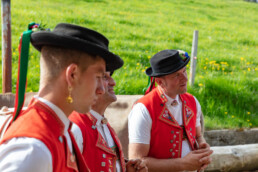 Alpaufzug, Alpfahrt, Appenzell, Appenzell Ausserrohden, Appenzellerland, Brauchtum und Anlässe, Kühe, Landschaft und Natur, Orte, Ostschweiz, Schweiz, Sennen, Suisse, Switzerland, Tier, Tracht, tradition