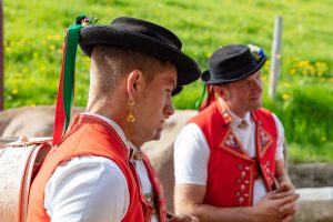 Alpaufzug, Alpfahrt, Appenzell, Appenzell Ausserrohden, Appenzellerland, Brauchtum und Anlässe, Kühe, Landschaft und Natur, Orte, Ostschweiz, Schweiz, Sennen, Suisse, Switzerland, Tier, Tracht, tradition