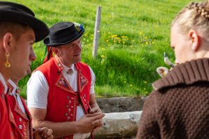Alpaufzug, Alpfahrt, Appenzell, Appenzell Ausserrohden, Appenzellerland, Brauchtum und Anlässe, Kühe, Landschaft und Natur, Orte, Ostschweiz, Schweiz, Sennen, Suisse, Switzerland, Tier, Tracht, tradition