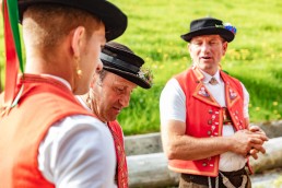 Alpaufzug, Alpfahrt, Appenzell, Appenzell Ausserrohden, Appenzellerland, Brauchtum und Anlässe, Kühe, Landschaft und Natur, Orte, Ostschweiz, Schweiz, Sennen, Suisse, Switzerland, Tier, Tracht, tradition