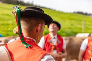 Alpaufzug, Alpfahrt, Appenzell, Appenzell Ausserrohden, Appenzellerland, Brauchtum und Anlässe, Kühe, Landschaft und Natur, Orte, Ostschweiz, Schweiz, Sennen, Suisse, Switzerland, Tier, Tracht, tradition