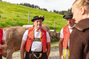 Alpaufzug, Alpfahrt, Appenzell, Appenzell Ausserrohden, Appenzellerland, Brauchtum und Anlässe, Kühe, Landschaft und Natur, Orte, Ostschweiz, Schweiz, Sennen, Suisse, Switzerland, Tier, Tracht, tradition