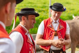 Alpaufzug, Alpfahrt, Appenzell, Appenzell Ausserrohden, Appenzellerland, Brauchtum und Anlässe, Kühe, Landschaft und Natur, Orte, Ostschweiz, Schweiz, Sennen, Suisse, Switzerland, Tier, Tracht, tradition