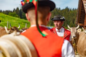 Alpaufzug, Alpfahrt, Appenzell, Appenzell Ausserrohden, Appenzellerland, Brauchtum und Anlässe, Kühe, Landschaft und Natur, Orte, Ostschweiz, Schweiz, Sennen, Suisse, Switzerland, Tier, Tracht, tradition