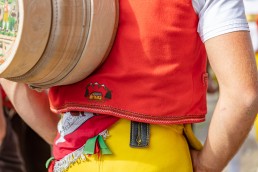 Alpaufzug, Alpfahrt, Appenzell, Appenzell Ausserrohden, Appenzellerland, Brauchtum und Anlässe, Kühe, Landschaft und Natur, Orte, Ostschweiz, Schweiz, Sennen, Suisse, Switzerland, Tier, Tracht, tradition