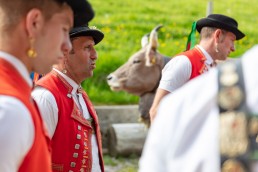 Alpaufzug, Alpfahrt, Appenzell, Appenzell Ausserrohden, Appenzellerland, Brauchtum und Anlässe, Kühe, Landschaft und Natur, Orte, Ostschweiz, Schweiz, Sennen, Suisse, Switzerland, Tier, Tracht, tradition