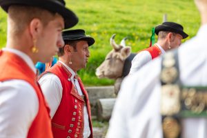 Alpaufzug, Alpfahrt, Appenzell, Appenzell Ausserrohden, Appenzellerland, Brauchtum und Anlässe, Kühe, Landschaft und Natur, Orte, Ostschweiz, Schweiz, Sennen, Suisse, Switzerland, Tier, Tracht, tradition