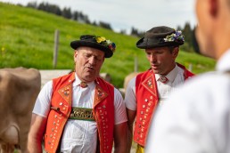 Alpaufzug, Alpfahrt, Appenzell, Appenzell Ausserrohden, Appenzellerland, Brauchtum und Anlässe, Kühe, Landschaft und Natur, Orte, Ostschweiz, Schweiz, Sennen, Suisse, Switzerland, Tier, Tracht, tradition