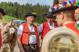 Alpaufzug, Alpfahrt, Appenzell, Appenzell Ausserrohden, Appenzellerland, Brauchtum und Anlässe, Kühe, Landschaft und Natur, Orte, Ostschweiz, Schweiz, Sennen, Suisse, Switzerland, Tier, Tracht, tradition