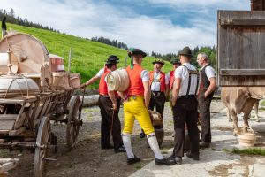 Alpaufzug, Alpfahrt, Appenzell, Appenzell Ausserrohden, Appenzellerland, Brauchtum und Anlässe, Kühe, Landschaft und Natur, Orte, Ostschweiz, Schweiz, Sennen, Suisse, Switzerland, Tier, Tracht, tradition