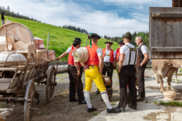 Alpaufzug, Alpfahrt, Appenzell, Appenzell Ausserrohden, Appenzellerland, Brauchtum und Anlässe, Kühe, Landschaft und Natur, Orte, Ostschweiz, Schweiz, Sennen, Suisse, Switzerland, Tier, Tracht, tradition