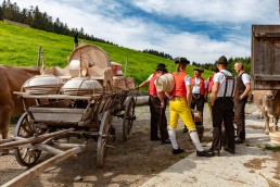 Alpaufzug, Alpfahrt, Appenzell, Appenzell Ausserrohden, Appenzellerland, Brauchtum und Anlässe, Kühe, Landschaft und Natur, Orte, Ostschweiz, Schweiz, Sennen, Suisse, Switzerland, Tier, Tracht, tradition