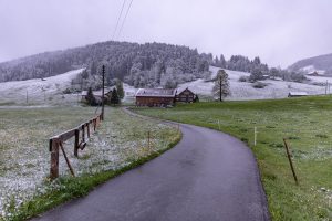 Alp, Alpaufzug, Alpen, Alpfahrt, Alps, Appenzell, Appenzell Ausserrohden, Appenzellerland, Brauchtum, Brauchtum und Anlässe, Frühling, Jahreszeiten, Kühe, Landschaft und Natur, Mai, Natur, Orte, Ostschweiz, Schweiz, Sennen, Spring, Suisse, Switzerland, Tier, Tracht, Urnäsch, tradition