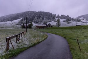 Alp, Alpaufzug, Alpen, Alpfahrt, Alps, Appenzell, Appenzell Ausserrohden, Appenzellerland, Brauchtum, Brauchtum und Anlässe, Frühling, Jahreszeiten, Kühe, Landschaft und Natur, Mai, Natur, Orte, Ostschweiz, Schweiz, Sennen, Spring, Suisse, Switzerland, Tier, Tracht, Urnäsch, tradition