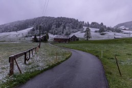 Alp, Alpaufzug, Alpen, Alpfahrt, Alps, Appenzell, Appenzell Ausserrohden, Appenzellerland, Brauchtum, Brauchtum und Anlässe, Frühling, Jahreszeiten, Kühe, Landschaft und Natur, Mai, Natur, Orte, Ostschweiz, Schweiz, Sennen, Spring, Suisse, Switzerland, Tier, Tracht, Urnäsch, tradition