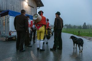 Alp, Alpaufzug, Alpen, Alpfahrt, Alps, Appenzell, Appenzell Ausserrohden, Appenzellerland, Brauchtum, Brauchtum und Anlässe, Frühling, Jahreszeiten, Kühe, Landschaft und Natur, Mai, Natur, Orte, Ostschweiz, Schweiz, Sennen, Spring, Suisse, Switzerland, Tier, Tracht, Urnäsch, tradition
