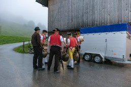 Alp, Alpaufzug, Alpen, Alpfahrt, Alps, Appenzell, Appenzell Ausserrohden, Appenzellerland, Brauchtum, Brauchtum und Anlässe, Frühling, Jahreszeiten, Kühe, Landschaft und Natur, Mai, Natur, Orte, Ostschweiz, Schweiz, Sennen, Spring, Suisse, Switzerland, Tier, Tracht, Urnäsch, tradition