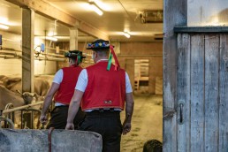 Alp, Alpaufzug, Alpen, Alpfahrt, Alps, Appenzell, Appenzell Ausserrohden, Appenzellerland, Brauchtum, Brauchtum und Anlässe, Frühling, Jahreszeiten, Kühe, Landschaft und Natur, Mai, Natur, Orte, Ostschweiz, Schweiz, Sennen, Spring, Suisse, Switzerland, Tier, Tracht, Urnäsch, tradition