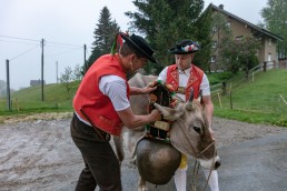 Alp, Alpaufzug, Alpen, Alpfahrt, Alps, Appenzell, Appenzell Ausserrohden, Appenzellerland, Brauchtum, Brauchtum und Anlässe, Frühling, Jahreszeiten, Kühe, Landschaft und Natur, Mai, Natur, Orte, Ostschweiz, Schweiz, Sennen, Spring, Suisse, Switzerland, Tier, Tracht, Urnäsch, tradition